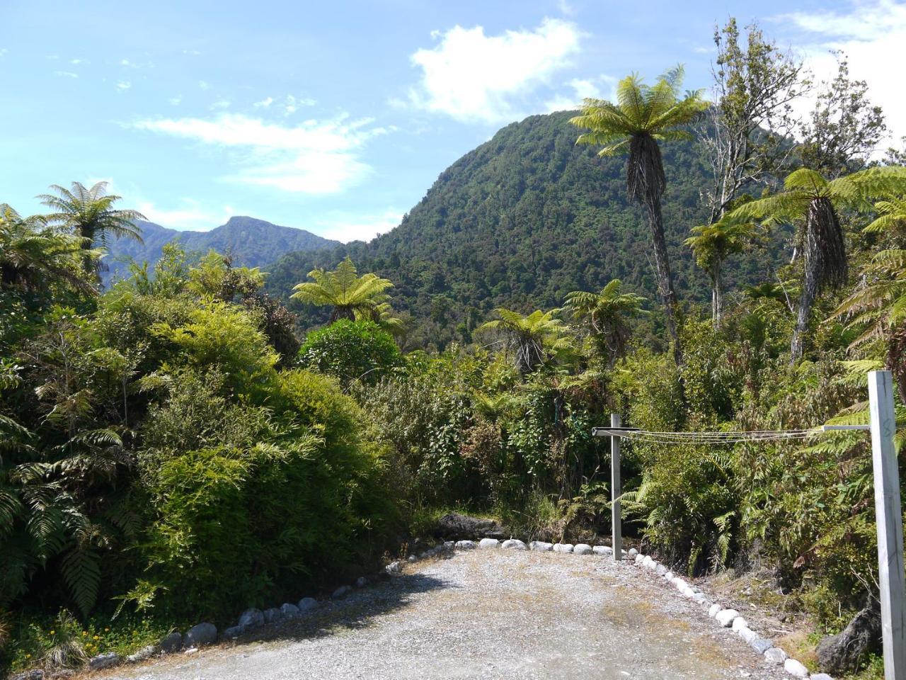 Franz Josef Treetops Eksteriør billede