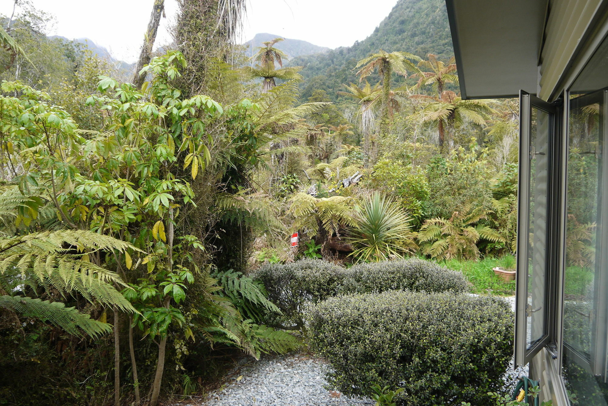 Franz Josef Treetops Eksteriør billede